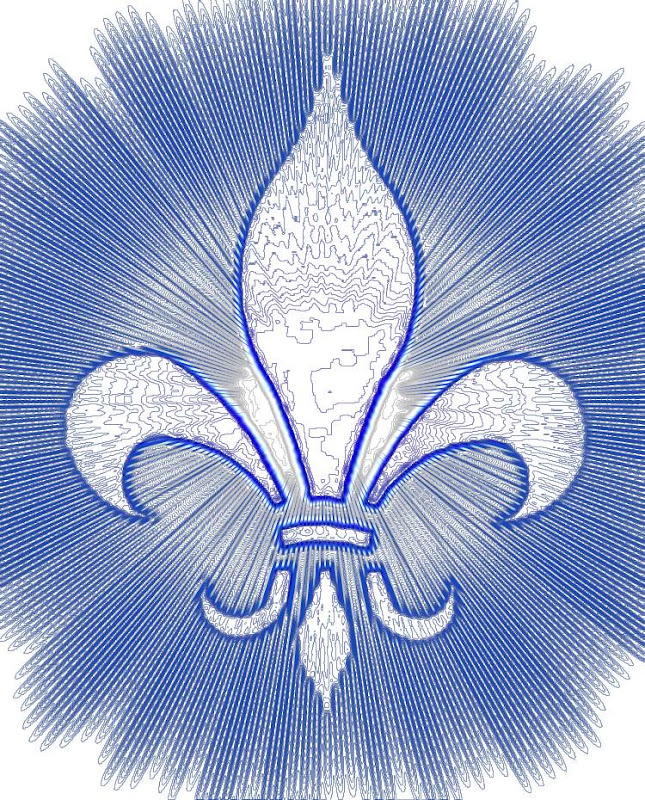 The Daily Fleur de Lis Perfection, light and life